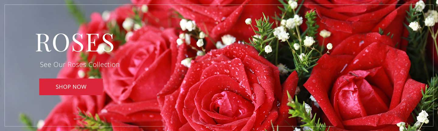 1a502ddd-8d80-45fa-ae5e-0602f8bf7ff5