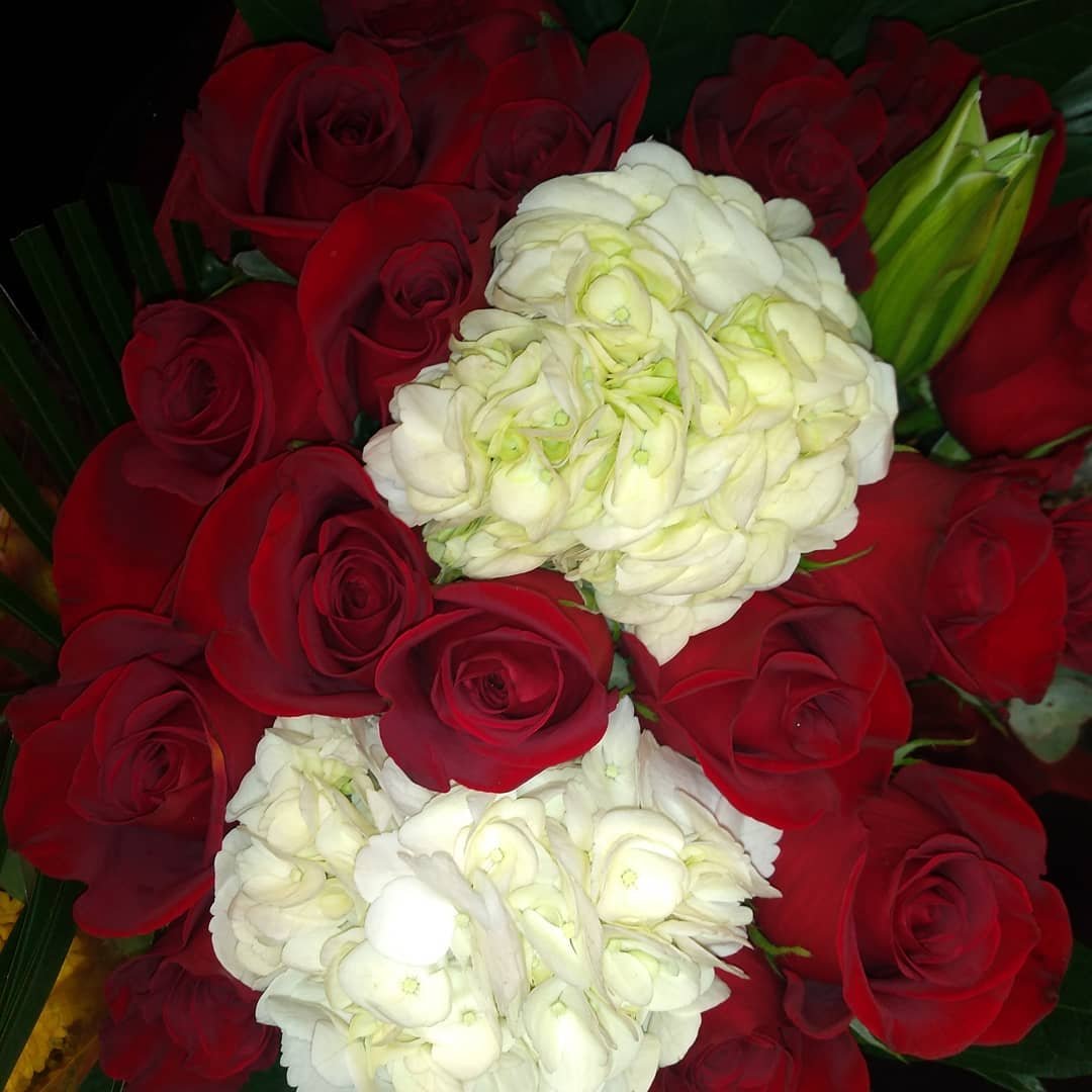 72490282_443876319576296_4417912521643993499_n